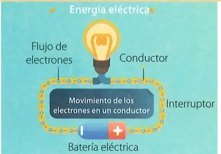 Figura 4 de Ciencias Naturales 7° · 2025