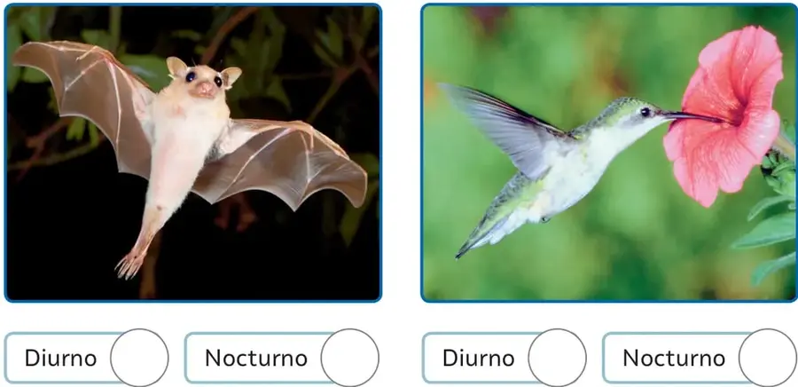 Fotografía de un murciélago de color claro volando con las alas extendidas sobre un fondo oscuro de vegetación nocturna.