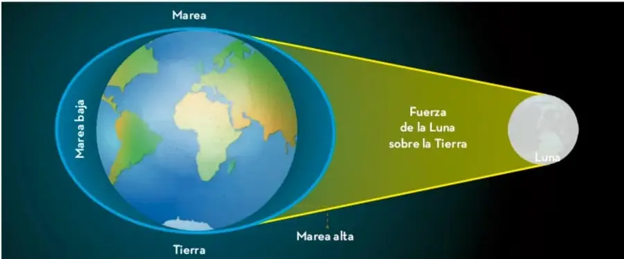Ilustración de la Tierra con una elipse de agua (mareas) alrededor, la Luna a la derecha y un cono amarillo que indica la 'Fuerza de la Luna sobre la Tierra'. Etiquetas: 'Marea' arriba, 'Marea baja' a la izquierda, 'Marea alta' abajo derecha, 'Tierra' y 'Luna'.