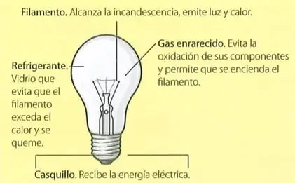 Diagrama de una bombilla eléctrica con etiquetas para el filamento, el gas enrarecido, el refrigerante y el casquillo.