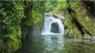 Cascada en el río Nambillo, Mindo, que representa un hábitat húmedo para plantas sin semilla.