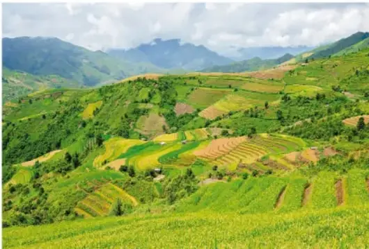 Paisaje de montaña con laderas cultivadas en terrazas verdes y amarillas, bajo un cielo con nubes.