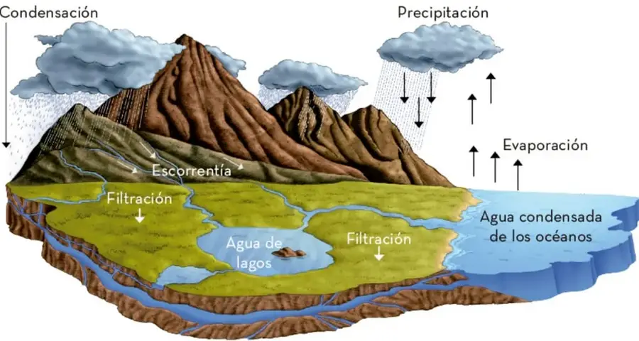 Esquema del ciclo del agua con montañas, nubes, lluvia, ríos, lagos, océano y capas subterráneas; señala condensación, precipitación, escorrentía, filtración, evaporación y agua subterránea almacenada.