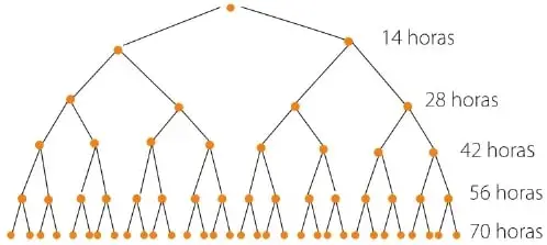 Árbol de duplicación que muestra la cantidad de parásitos a las 14, 28, 42, 56 y 70 horas.