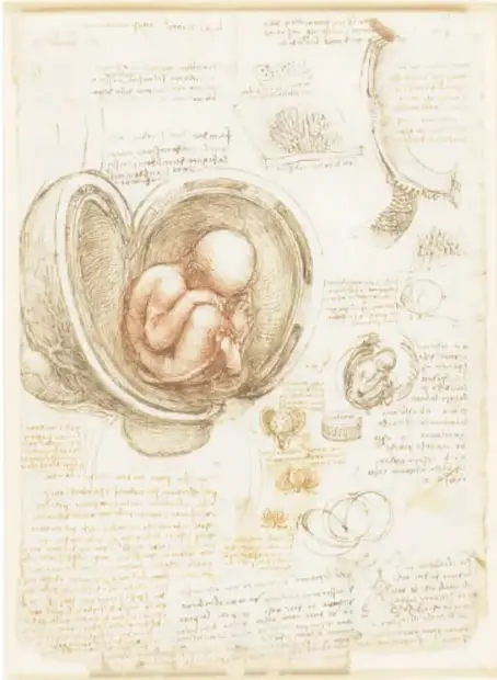 Lámina 'El feto en el útero' (ca. 1511): dibujo sepia de un feto en posición fetal dentro de un útero abierto, rodeado de notas manuscritas y bocetos de estudio.