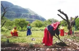 Personas trabajando la tierra en un paisaje montañoso, representando prácticas locales de una comunidad.