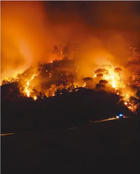 Incendio forestal de noche: llamas anaranjadas consumen la ladera de un cerro con árboles y algo de humo.