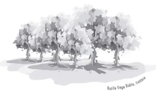 Ilustración de un pupitre escolar con una sombra alargada con forma de ave.