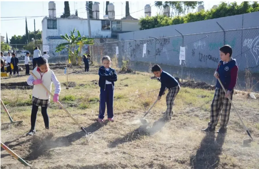 Fotografía de estudiantes de primaria trabajando la tierra con herramientas de jardinería en el patio de la escuela, acompañados de otros compañeros y adultos al fondo.