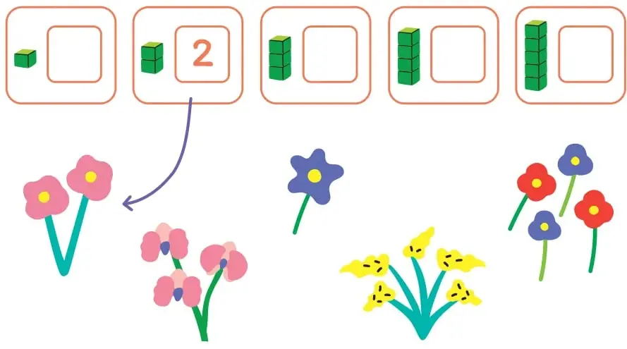 Cinco recuadros con torres de cubos verdes de 1, 2, 3, 4 y 5 cubos; el recuadro del 2 ya tiene el número escrito y una flecha que lo une a las dos flores rosadas.