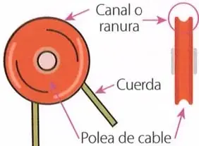 Figura 3 de Ciencias Naturales 9° · 2025