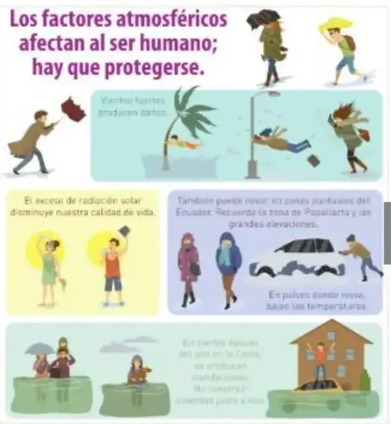Figura 3 de Ciencias Naturales 5° · Egb 5 Ciencias Naturales 2024 · 2024