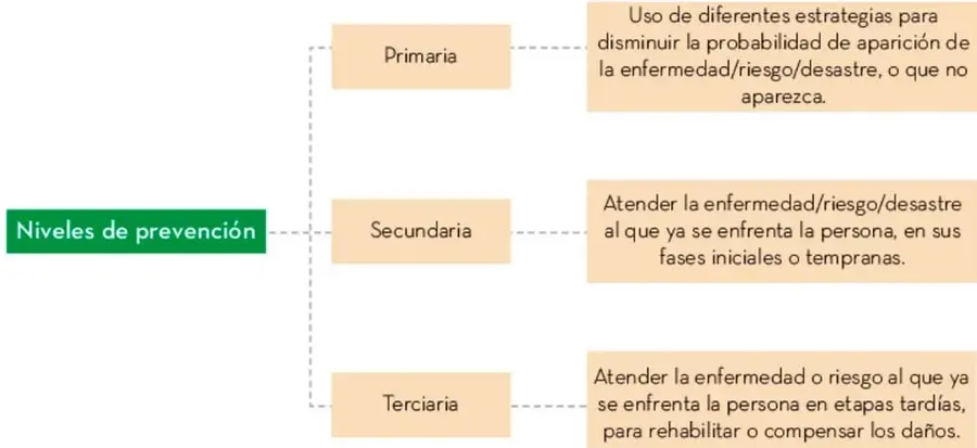 Esquema jerárquico llamado 'Niveles de prevención' que se ramifica en tres recuadros: Primaria, Secundaria y Terciaria, cada uno conectado por línea punteada a su descripción respectiva en recuadros color durazno.