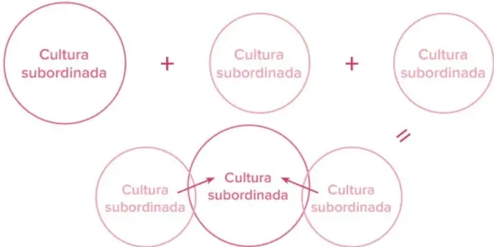 Esquema con tres círculos rosados rotulados 'Cultura subordinada' unidos por signos +, que equivalen a un cuarto círculo idéntico. Fuente: elaboración propia con base en Walsh (2004).