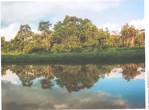 Selva reflejada en la laguna de Limoncocha, en la provincia de Sucumbíos.