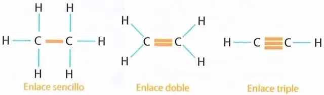 Figura 5 de Ciencias Naturales 8° · Egb 8 Ciencias Naturales 2025 · 2025