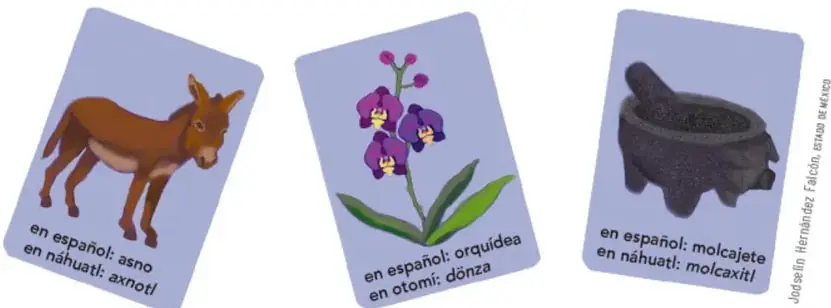 Ficha ilustrada con un molcajete de piedra; texto: en español: molcajete, en náhuatl: molcaxitl.
