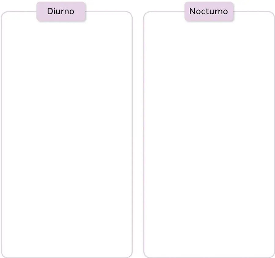 Dos recuadros grandes: el izquierdo etiquetado 'Diurno' y el derecho 'Nocturno', para dibujar animales.