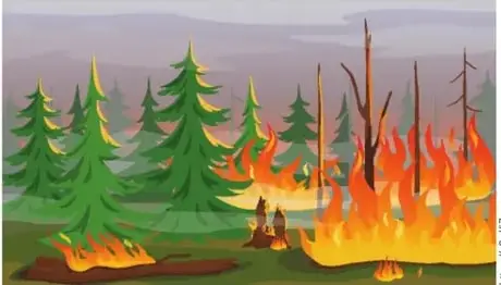 Bosque en llamas (incendio forestal).