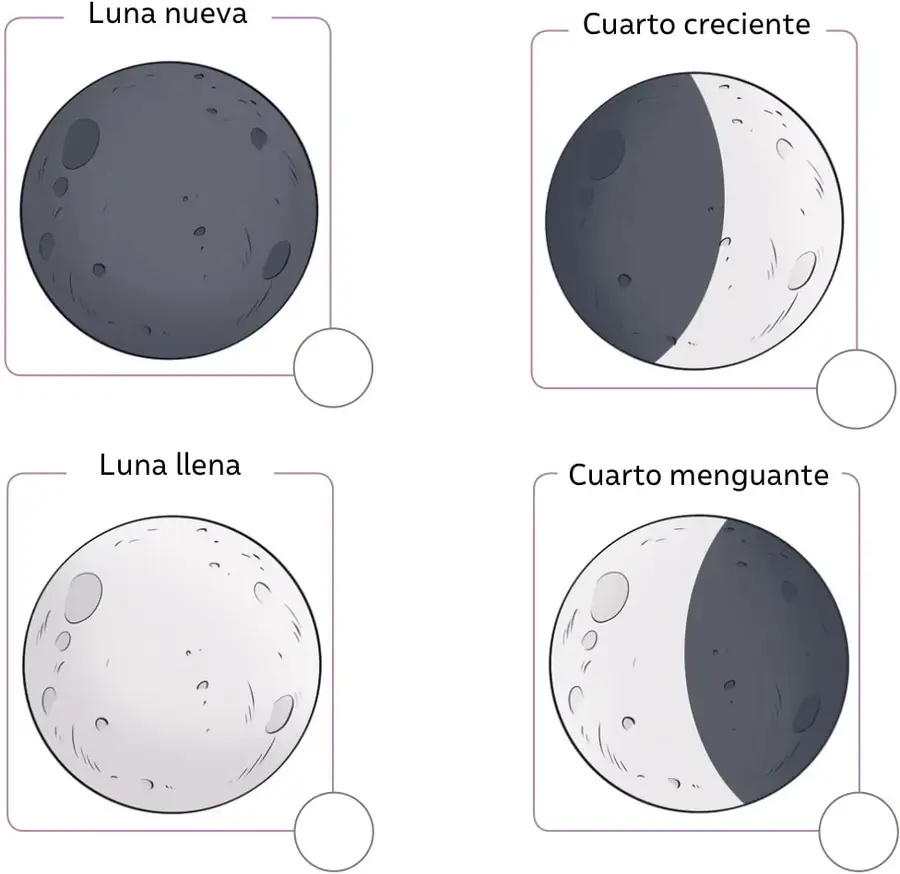 Esfera lunar con la mitad derecha iluminada, rotulada 'Cuarto creciente', con círculo para marcar.