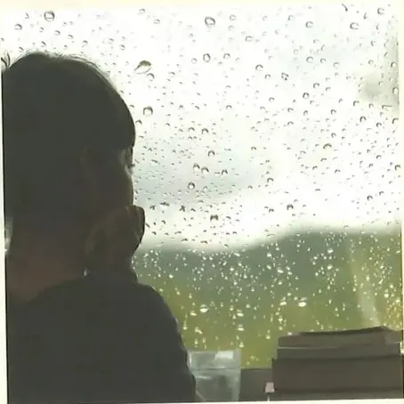 Una persona observa un paisaje a través de una ventana cubierta de gotas de lluvia.