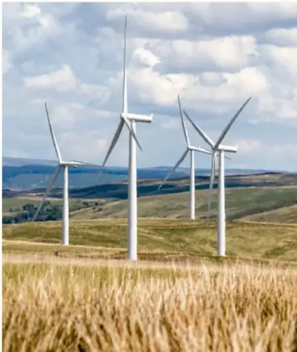 Parque eólico con varias turbinas de viento sobre un campo de cultivo, ilustrando el uso de energía eólica.