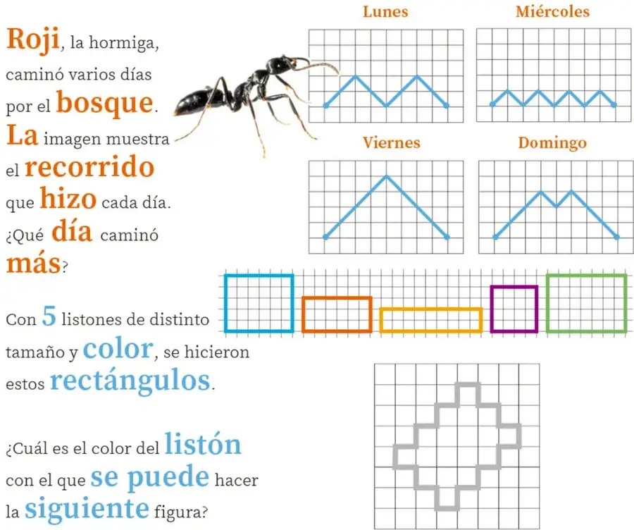 Dibujo de una hormiga negra junto a cuatro cuadrículas con líneas azules: Lunes (dos picos), Miércoles (muchos picos pequeños), Viernes (un pico grande) y Domingo (dos picos medianos).