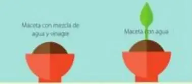 Infografía dividida con Tierra al centro y comparación entre alternativas ecológicas (lado verde) y contaminación (lado gris).
