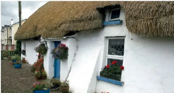 Fotografía de una casa de bioconstrucción con techo de paja, paredes blancas, puertas y ventanas azules, adornada con macetas de flores.