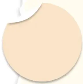 Ilustración de un círculo beige con un borde curvo, similar a una burbuja o sello.