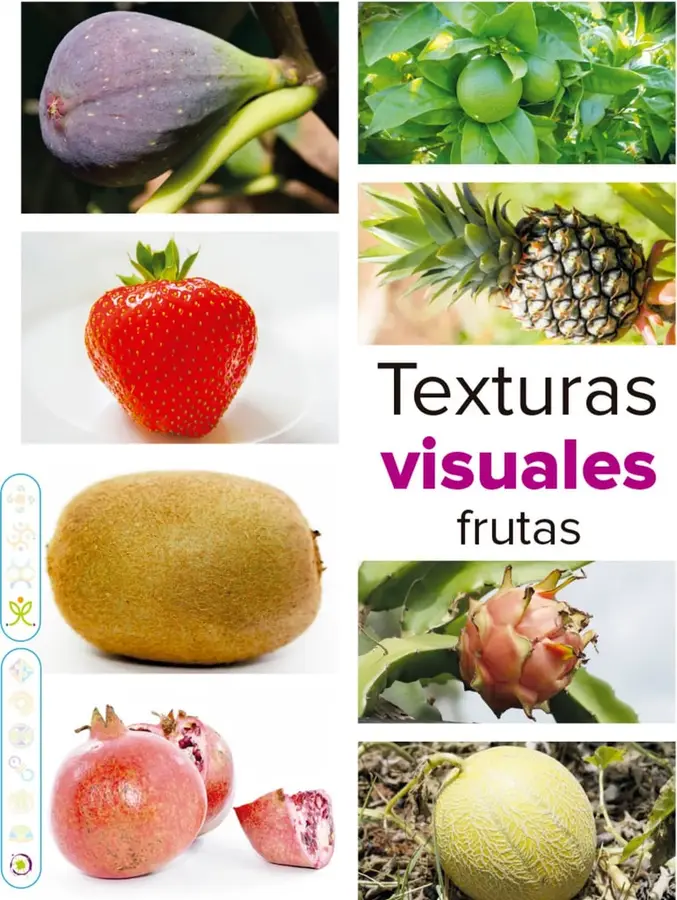 Figura 1 de Múltiples lenguajes. Libro de Educación Primaria Grado 2° Ciclo Escolar 2025 - 2026