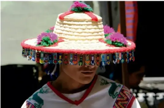 Fotografía de una persona joven usando un sombrero tradicional colorido con flores y bordados, probablemente de una comunidad indígena, como ejemplo de expresión cultural.