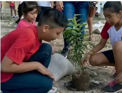Niños de secundaria plantando un árbol en área verde escolar.