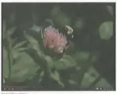 Recuadro de competencia digital que invita a observar un video sobre el ciclo del nitrógeno.