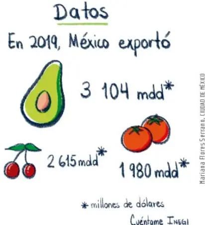 Infografía manuscrita 'Datos: En 2019, México exportó' con ilustraciones de aguacate (3 104 mdd), cerezas (2 615 mdd) y jitomates (1 980 mdd), con nota '* millones de dólares, Cuéntame INEGI'. Crédito vertical: Marana Reserva de Xilitla, San Luis Potosí, México.