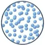 Figura 5 de Ciencias Naturales 2° · Egb 2 Ciencias Naturales 2025 · 2025