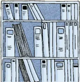 Ilustración de un librero con libros ordenados; crédito: Max Jovan Longo Reséndiz, Estado de México.