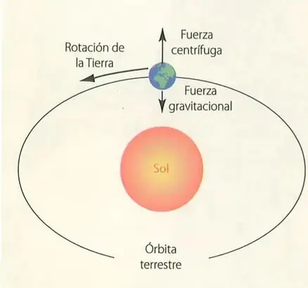 Figura 2 de Ciencias Naturales 10° · 2025