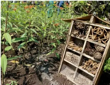 Huerto escolar con plantas y un hotel de insectos de madera.
