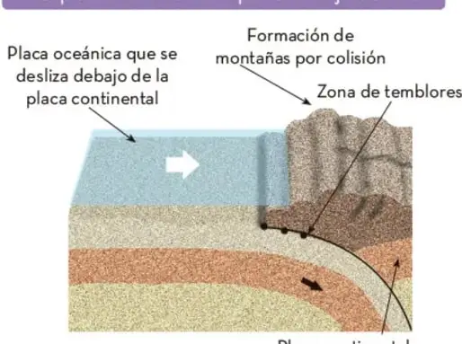 Figura 3 de Colección Ximhai. Ética, naturaleza y sociedades. Libro de Educación Telesecundaria Grado 1° Ciclo Escolar 2025 - 2026