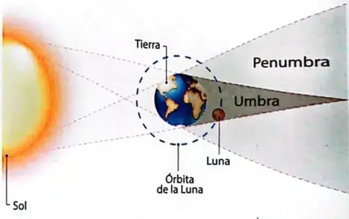 Figura 6 de Ciencias Naturales 4° · Egb 4 Ciencias Naturales 2025 · 2025