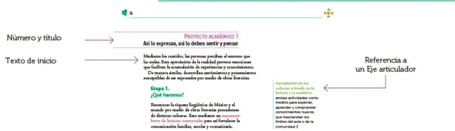 Diagrama del inicio de un proyecto académico: número y título, texto de inicio y referencia a un eje articulador.