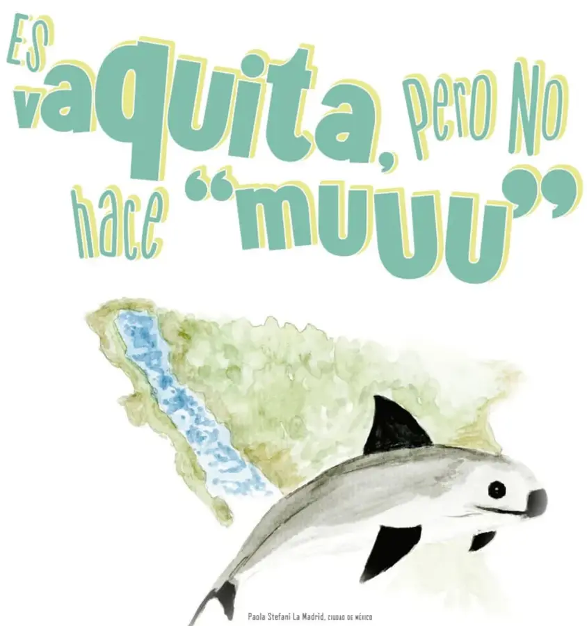 Ilustración en acuarela de una vaquita marina nadando, con su aleta dorsal oscura, sobre un mapa pintado del noroeste de México donde se ve el golfo de California.