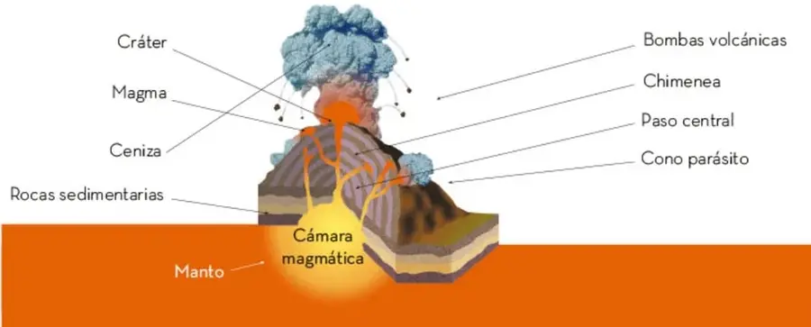 Corte de un volcán con sus partes rotuladas: cráter, magma, ceniza, rocas sedimentarias, cámara magmática, manto, bombas volcánicas, chimenea, paso central y cono parásito.