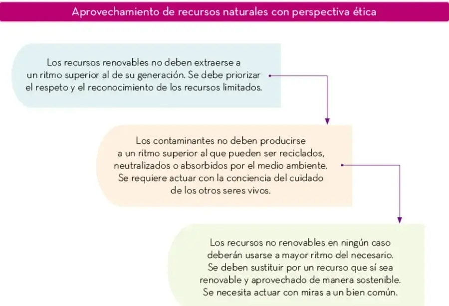 Fotografía de un cartel pintado a mano que dice 'Sin árbol, sin agua no hay vida', ubicado en un entorno rural con vegetación.