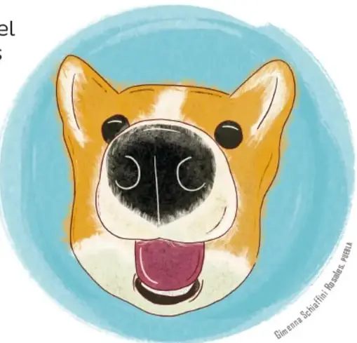 Ilustración de un perro (tipo husky o corgi) sonriente con la boca abierta y la lengua afuera, dentro de un círculo azul, como ejemplo de animal que respira.