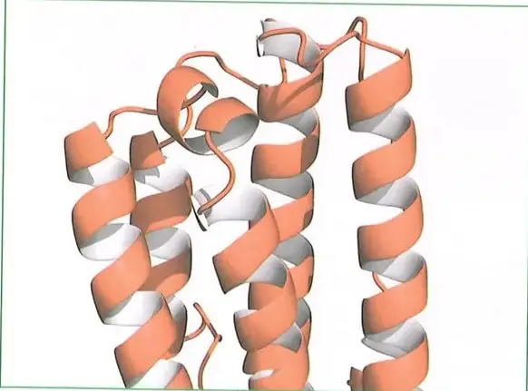 Figura 3 de Ciencias Naturales 10° · 2025