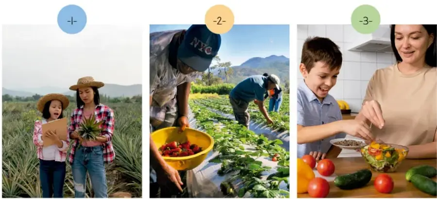 Fotografía 1: madre e hija con sombreros trabajando en un campo de piñas, una sostiene una tabla de registro; rótulo «Cultivar».