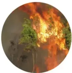 Fotografía circular de un bosque en llamas, rotulada 'Incendio'