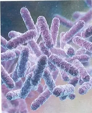 Figura 2 de Ciencias Naturales 9° · 2025